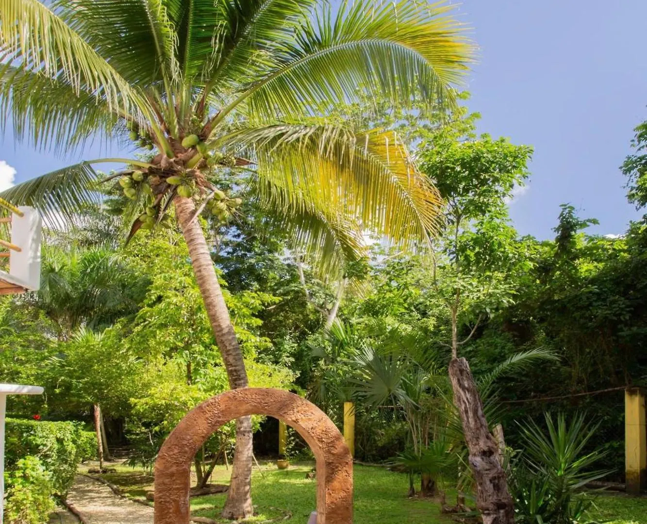 Mini Pini Birdwatching And Cenote Loft4 You Only Cozumel Holiday home