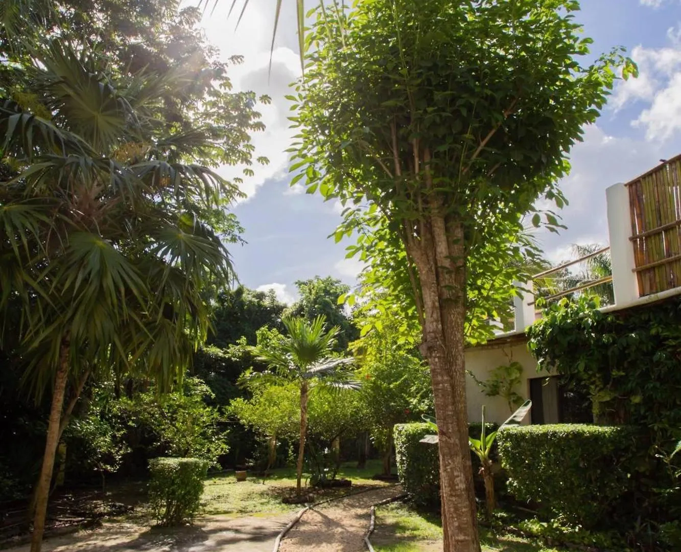 Mini Pini Birdwatching And Cenote Loft4 You Only Cozumel