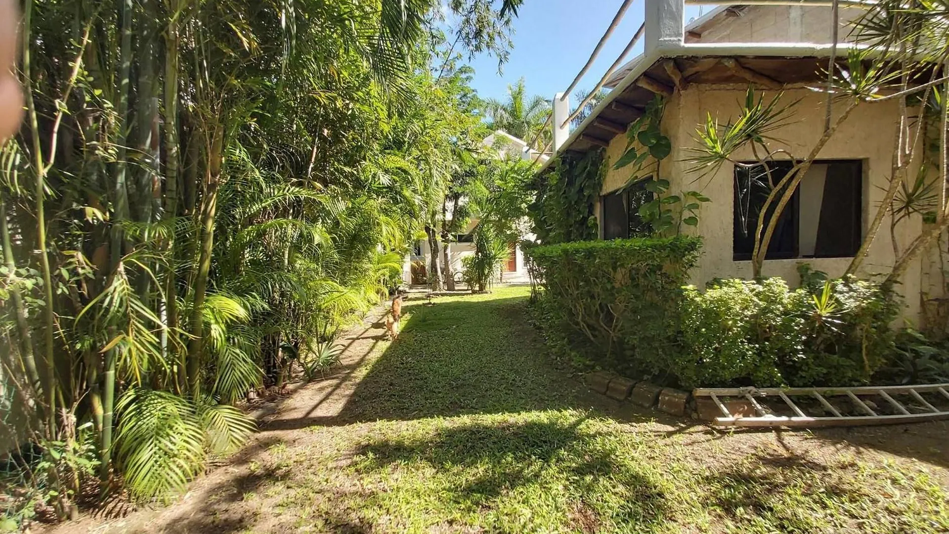 Holiday home Mini Pini Birdwatching And Cenote Loft4 You Only Cozumel