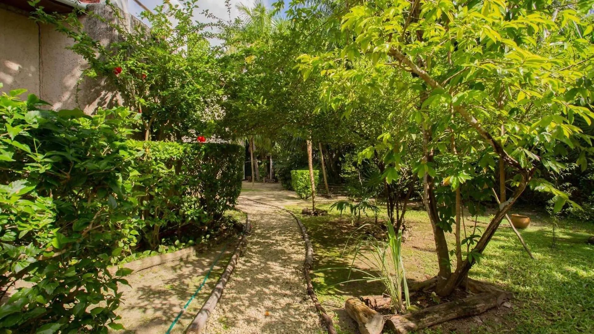 Mini Pini Birdwatching And Cenote Loft4 You Only Cozumel Holiday home