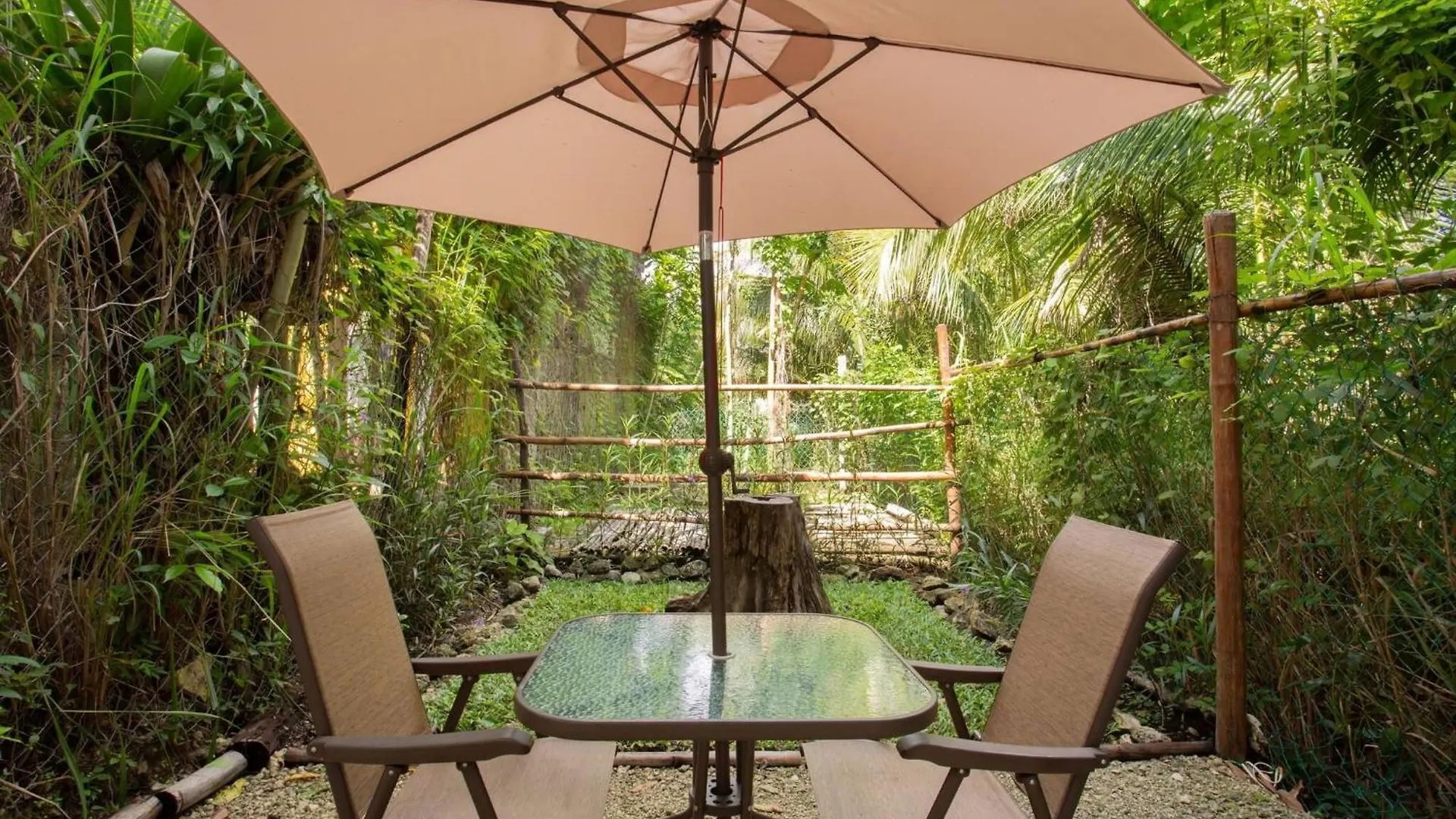 Mini Pini Birdwatching And Cenote Loft4 You Only Cozumel Mexico