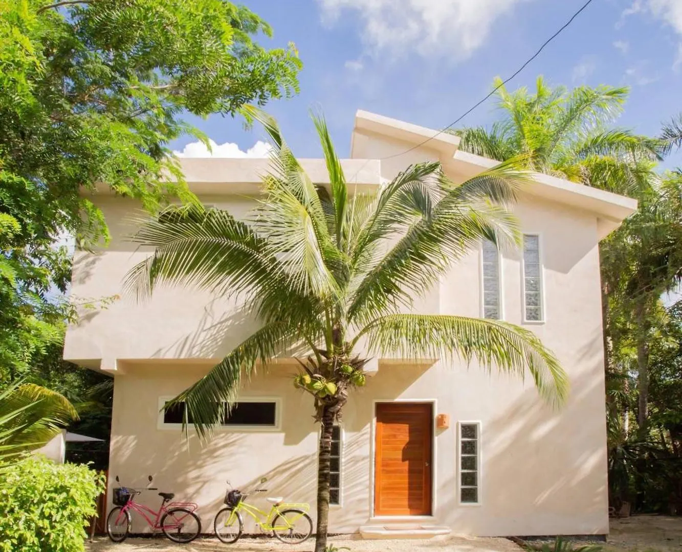 Mini Pini Birdwatching And Cenote Loft4 You Only Cozumel