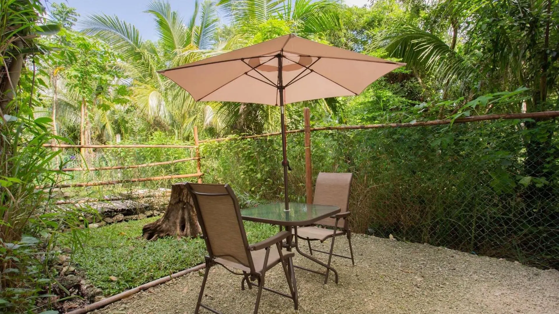 Mini Pini Birdwatching And Cenote Loft4 You Only Cozumel Holiday home